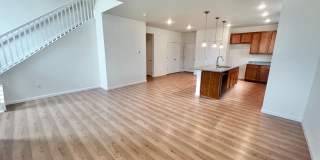 STUNNING 3 bed 2.5 bath new build home in Fort Collins! Gallery 1