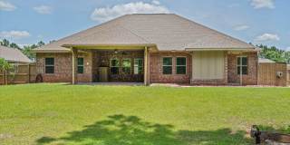 31399 Spoonbill Road Gallery 31