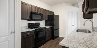 Austin City Lights Gallery 15