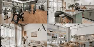 Adara Adara Gallery 1