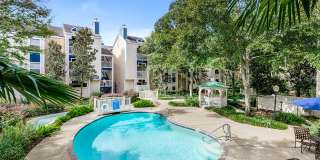 Chestnut Creek Gallery 1