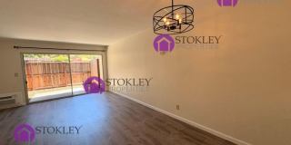 1411 Creekside Drive Gallery 9