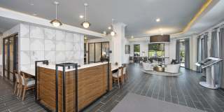 Symphony at Suwanee Creek Gallery 16