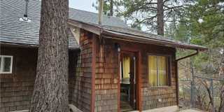 32868 Deer Gallery 1