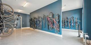 The Quarry Gallery 52