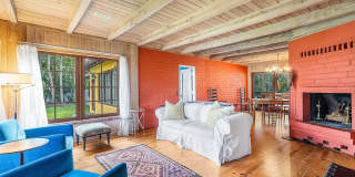 334 Palm Trail Gallery 23