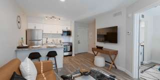 Trellis North Dallas Gallery 11