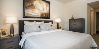 The Harrington Gallery 23