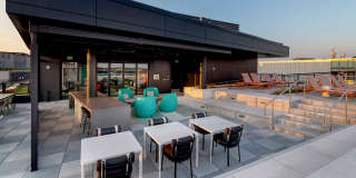 Reverb Gallery 56