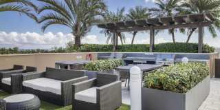 Vu New River Vu New River Gallery 25