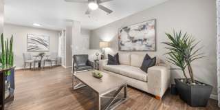 Palms on Scottsdale by Mark-Taylor Gallery 3