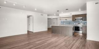 Zephyr Gallery 31