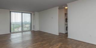 Whitestone at Landmark Gallery 36