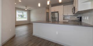 Savanna Nine Mile Gallery 74