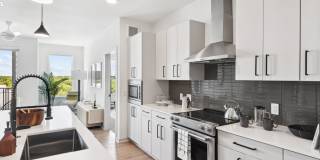 Starlight Gallery 24