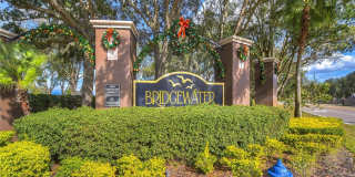 30847 BRIDGEGATE Drive Gallery 32