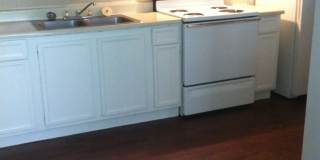 Forest Ridge Gallery 34