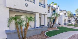 Rise on Cactus Gallery 118