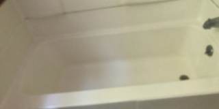 312 Sunset Dr Gallery 12