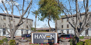 Haven at Midtown Gallery 37