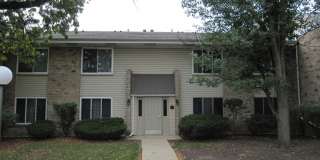 Spacious 2 Bedroom Gallery 1