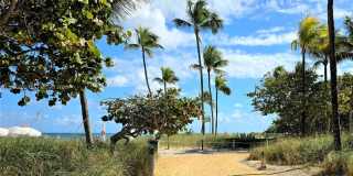 10175 Collins Avenue Gallery 10