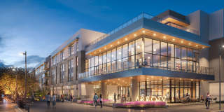 Haven + Arrow Gallery 2