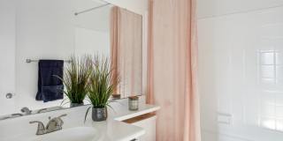 Palomar West Gallery 33