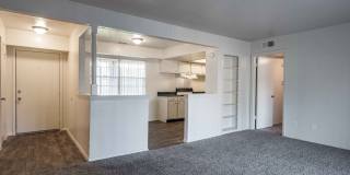 Castlewood Gallery 22