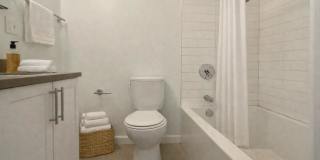 85 Harvard St. Gallery 9