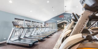 TGM Willowbrook Gallery 19