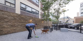 West of Chestnut Gallery 17