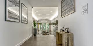 Magnolia at Milton Gallery 4