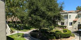 24465 Valle Del Oro #203 - 1 Gallery 27
