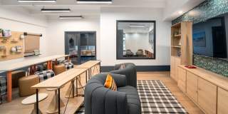 Elm at Panorama Gallery 31