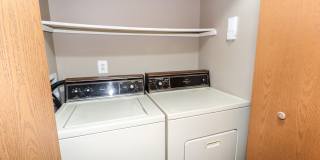 Woodland Trace Gallery 8