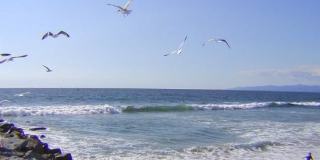 416 Virginia St 416 Virginia St Gallery 93