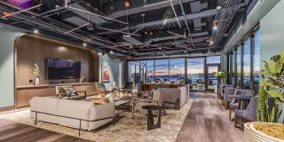 The Waverly Gallery 8