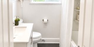 51 White Terrace Gallery 11