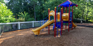 Forest Glen Forest Glen Gallery 13