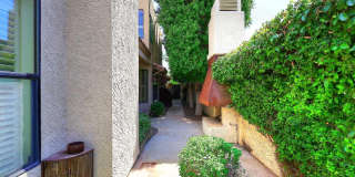 8100 E Camelback Road lot: 39 Gallery 38