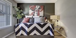 Harlowe Apartments Gallery 8