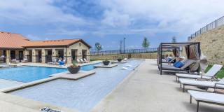 Ryze at Sunfield Gallery 8