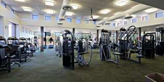 7125 E CANYON WREN Circle Gallery 59