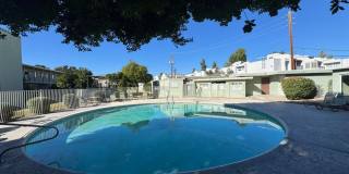 1702 W Tuckey Ln Unit 231 Gallery 2