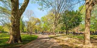 1256 S 45TH STREET Gallery 25