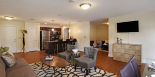 The Springs Gallery 17