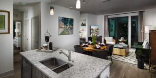 Arcadia Dr. Phillips Arcadia Dr. Phillips Gallery 9