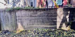 5215 Pine Street Gallery 9