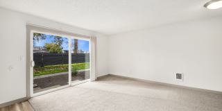 Driftwood Gallery 39